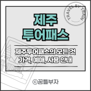 제주 여행 프리패스 이거 하나 면 끝! 제주투어패스