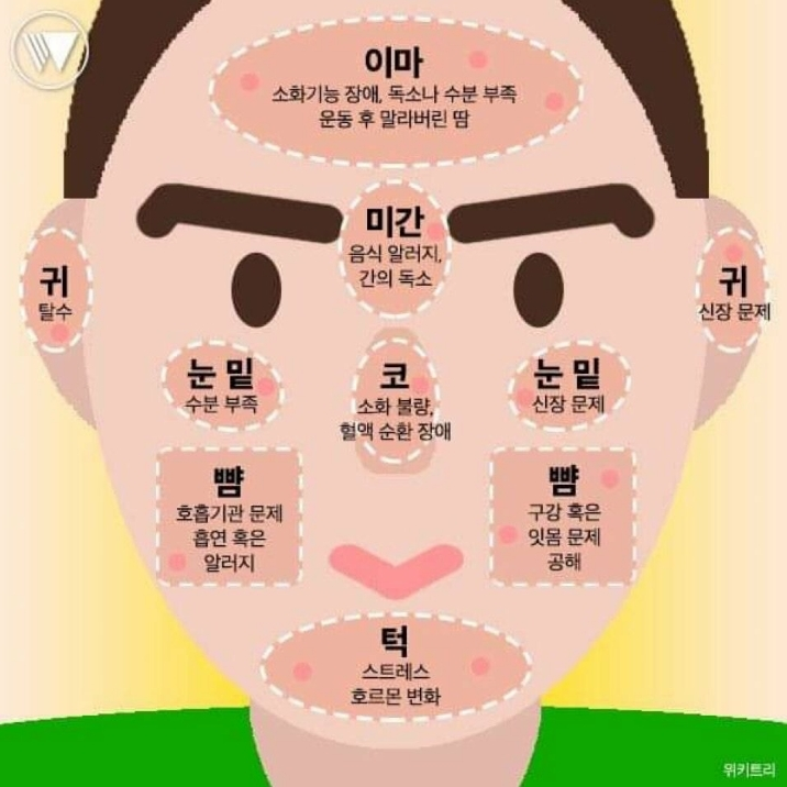 얼굴 부위별 트러블 눈밑 코 귀 볼 미간 여드름 부위별 원인 : 네이버 블로그