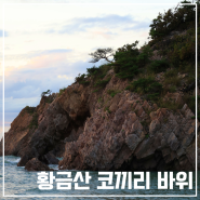 충청남도 서산 가볼만한곳 황금산 코끼리바위 서해 몽돌해변 주차장 일몰