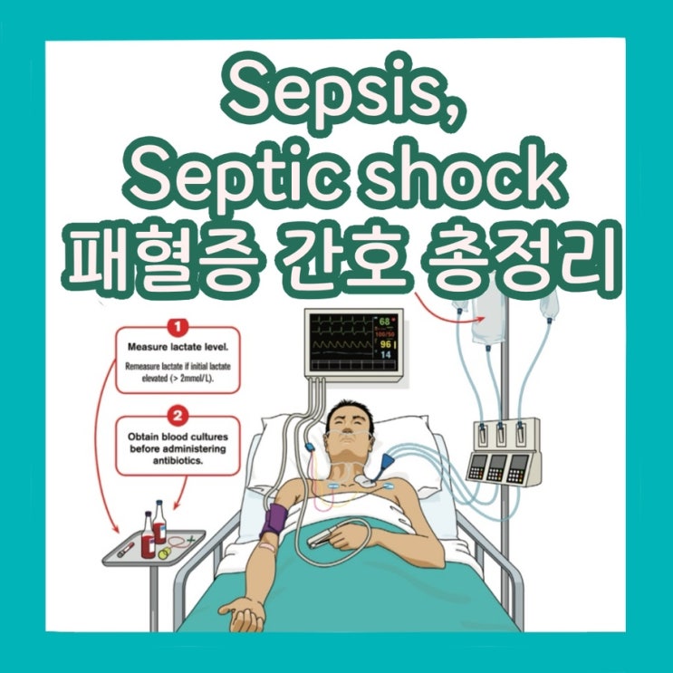 [응급실 간호] sepsis septic shock 패혈증 guideline 및 간호 총정리 : 네이버 블로그
