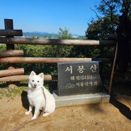 경기 화성 등산코스 추천 서봉산산림욕장(주차, 소요시간, 난이도)