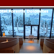 너무 좋았던 Hotel Forestis Dolomites 6-1 (공용공간) 3박 ...14세 이상만 ... 반려견 가능..