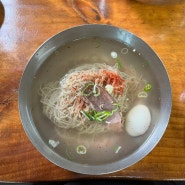 서울 평양냉면 맛집 필동면옥