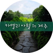 [제주]카멜리아 힐, 조용히 거닐기 좋은 힐링장소