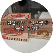 월간과자9월호/ 월간생빵 9월호 도착!