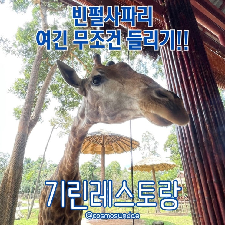 푸꾸옥 관광 빈펄사파리 가족여행 필수코스 기린 레스토랑(지라프 ....