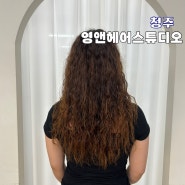 청주 미용실 추천 영앤헤어스튜디오 봉명점 히피펌 후기