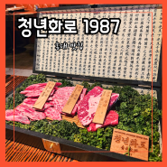 홍대 맛집 청년화로1987 홍대입구역 구워주는 고기집 와규 소고기 추천