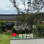 경주 황리단길 밥집, 한식집 화양연화