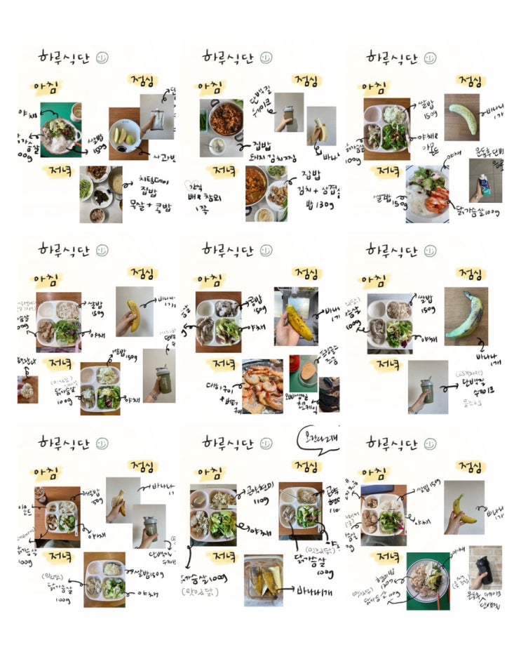 [일반인 바디프로필] 바프 디데이 100일~86일의 기록 : 네이버 블로그