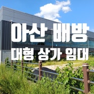 아산 대형 상가 대로변 단독 상가 임대