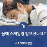 올해 스케일링 받으셨나요?