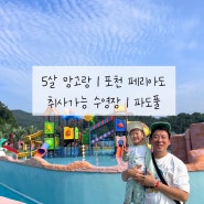 5살 망고랑 여름 일기 | 취사가능 수영장 | 포천 페리아도