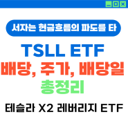 TSLL 배당, 주가현황, 배당일 총정리