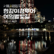 서울 가볼만한곳 나들이 한강야경투어 여의별빛길 이색 한강공원 데이트