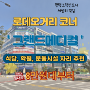 평택 고덕 서정리 로데오거리 코너상가 학원, 식당, 병원, 운동시설 자리 그랜드메디컬 정보