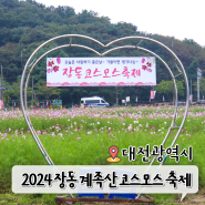 대전 장동 계족산 코스모스 축제 일정 먹거리 가을 문화 10월 축제