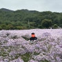 [경북 문경] 문희농원 중앙시장 오미자테마터널 화수헌 주암정 데이트코스 가볼만한곳 문경여행