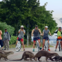 The Otters of Singapore | Cities: Nature's New Wild | BBC Earth