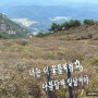 황매산 억새축제 방문기와 주차팁