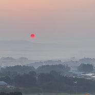 함평가볼만한 곳 밀재휴게소 하트포토죤 꽃무릇 함평 용천사에서 꽃무릇을 담다