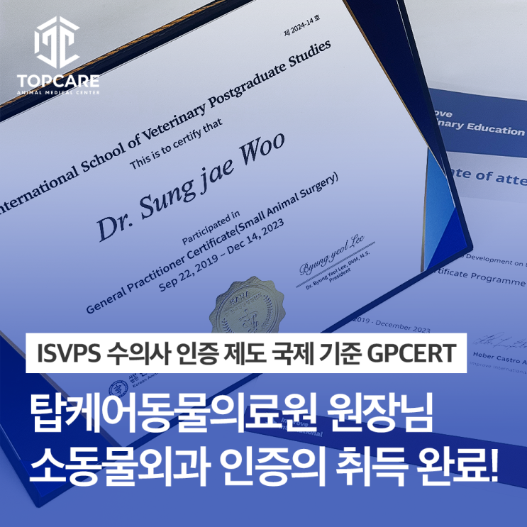 외과 치료는 탑케어동물의료원, 소동물외과 국제인증 획득! : 네이버 블로그
