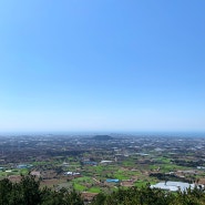 [반려견과 함께 제주 여행] 반려견과 함께 하기 좋은 제주 여행지! by 디어마이프렌즈 제주