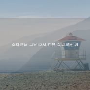 소이캔들 그냥 다시 한번 살펴보는 게