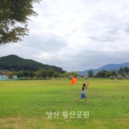 [양산 물금] 황산공원 _부산근교 아이와 가기 좋은 공원