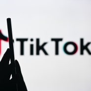 영자신문 틱톡 TikTok 프라이버시 설정, 안전하게 즐기는 방법 워싱턴포스트