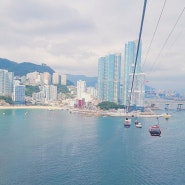 부산 오션뷰 송도해상케이블카 스카이파크 크리스탈 크루즈 할인 주차 안내