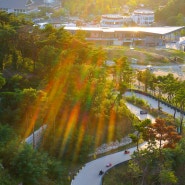 [경주 여행] 경주 여행 코스 루지월드 석양부터 야경까지