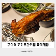 구의역 고기무한리필 고기집 :: 육미제당 구의역점 대장갈비 후기