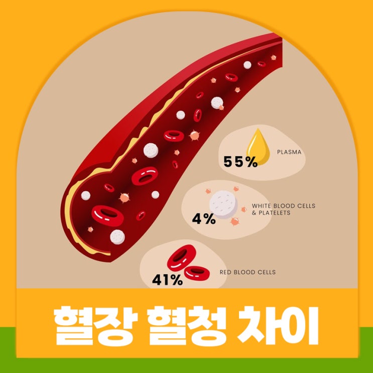 혈장 혈청 차이 역할과 중요성 건강에 미치는 영향 : 네이버 블로그