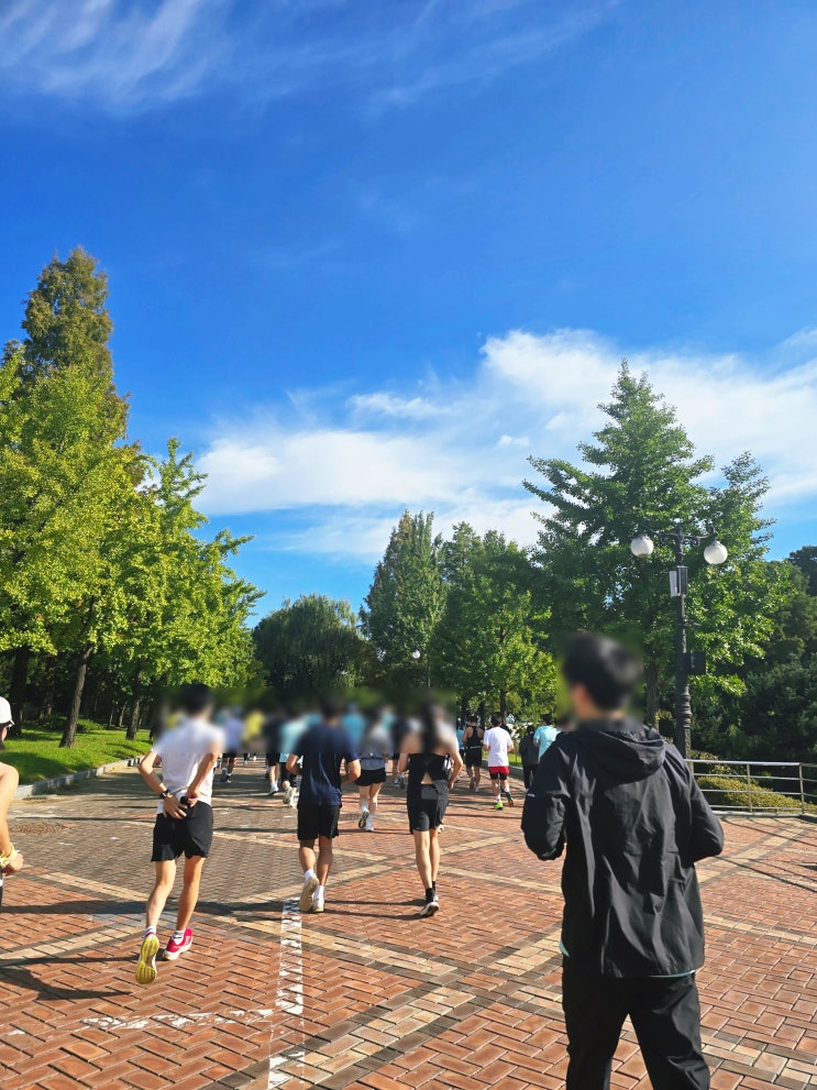 2024 제16회 사이버 영토 수호 마라톤대회 10Km 도전후기(10.5.토요일 올림픽공원)