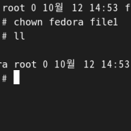 리눅스 (10월 12일 토요일) 파일 소유주와 및 권한 변경