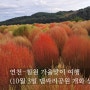 25개월 아기와 연천-철원 2박 3일 (1) (댑싸리공원 10월 3일 현황)