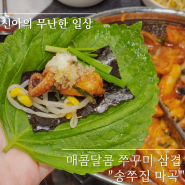 마곡나루 맛집 송쭈집 마곡 눈꽃치즈쭈꾸미 후기