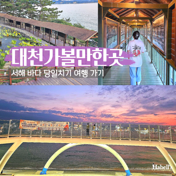 대천 보령 가볼만한곳 4 대천해수욕장 외 서해 바다 당일치기 여행 여담 : 네이버 블로그