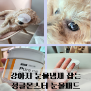 강아지눈물 냄새 잡는 정글몬스터 눈물패드