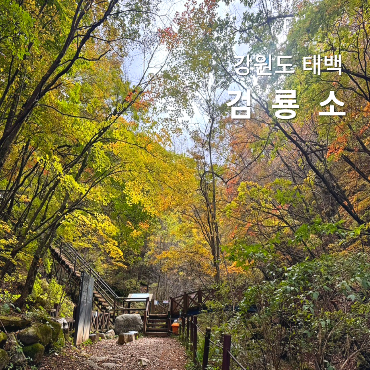 태백 검룡소 한강발원지 강원도 가을 단풍 여행지 : 네이버 블로그