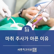 마취 주사가 아픈 이유