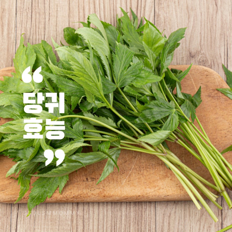 당귀효능, 당귀잎, 당귀차효능 : 네이버 블로그