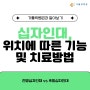 대전십자인대, 위치에 따른 기능 및 치료방법