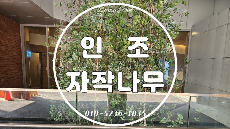 인조자작나무 실내조경, 한국식품과학연구원 중정 인조조경 시공 : 네이버 블로그