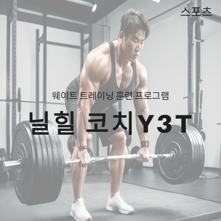세계적인 운동 방법 _ Y3T : 네이버 블로그