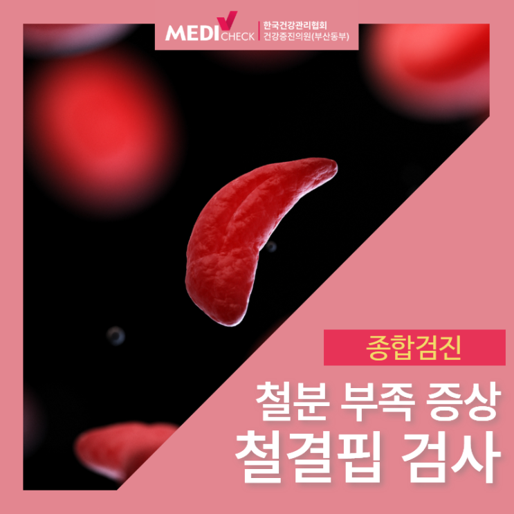 철분 부족 증상 철결핍성 빈혈 검사 필요 : 네이버 블로그