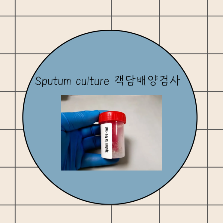 Sputum culture 가래 객담배양검사 검사결과 목적 : 네이버 블로그