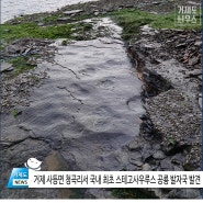 거제 사등면 청곡리서 국내 최초 스테고사우루스 공룡 발자국 발견