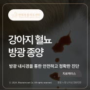 [24시 연희동물의료센터] 강아지 혈뇨, 방광종양, 방광내시경/ 인천 미추홀구 24시 동물병원